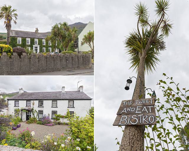 A collage of two lovely houses in Carlingford with cabbage palm trees