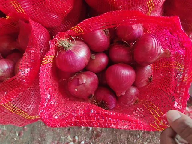 Hurzuk Enterprise LLP Leading the Way as Top Red Onion Exporters in India in 2023