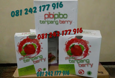 Gamat Teripang Berry Pibipibo