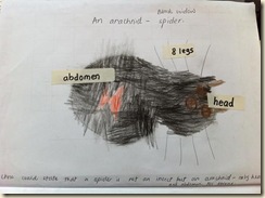 IMG_1337COPY