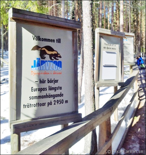 2950meter-trätrottoar-JärvZoo