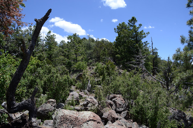 rocky spots of ridge