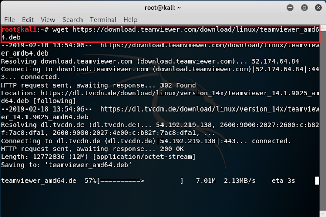 Kali Linux, wget TeamViewer