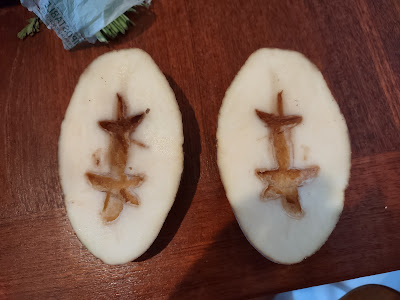 Hollow heart potato - when cut open, this potato appeared to have somehow had a section shaped like a long vertical part crossed by two horizontal parts hollowed out from inside.