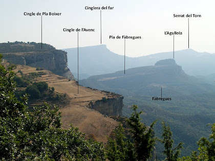 Panoràmica des de la Balma Grossa de Monteis