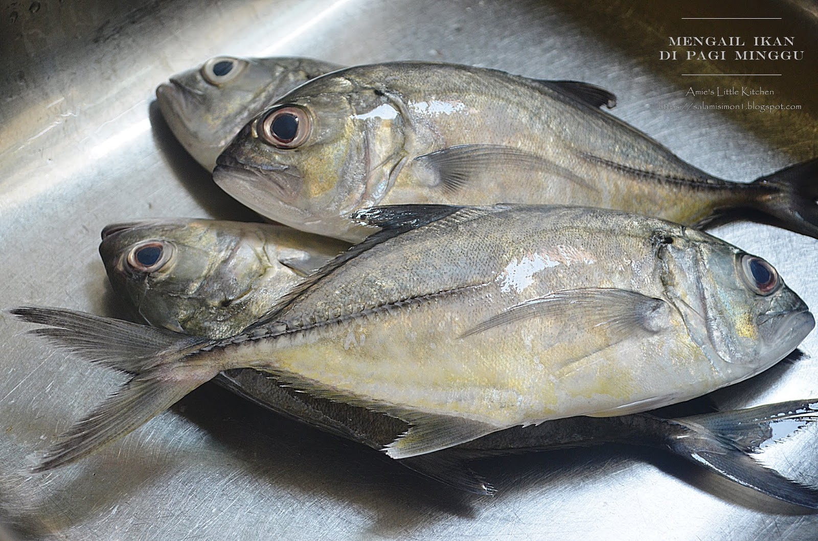 Ikan Nyok-Nyok Panggang, Sambal Air Asam Budu & Sayur Bening - Amie's