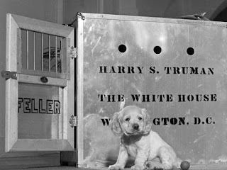 Feller: Truman's Unwanted Dog