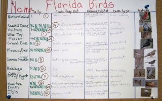 bird chart