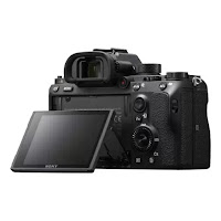 Review Sony A9 : Merevolusi Fotografi Olahraga dan Margasatwa