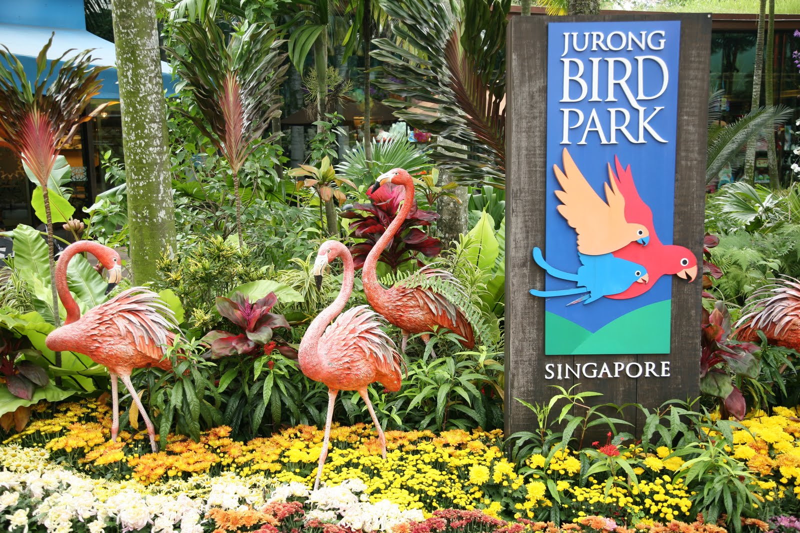 Eat Shop Play Sleep Play Singapore Jurong Bird Park