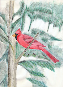drawing of a cardinal