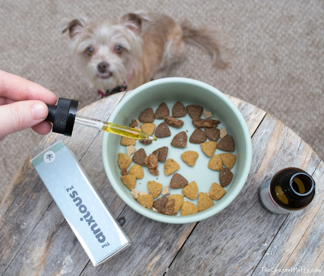 organic cbd hemp oil for dogs