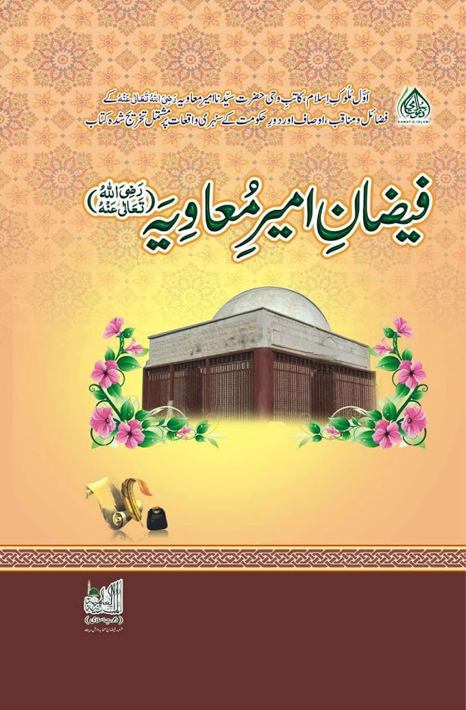 Faizan e Ameer e Muavia 