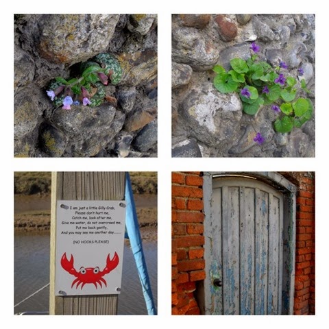 curiosities - violets and pulmonaria making their home in a flint wall - a sweet sign on Blakeney quay and an old door in Wells