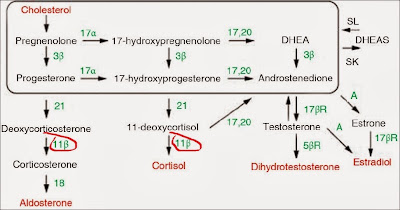 sindrom adrenogenital