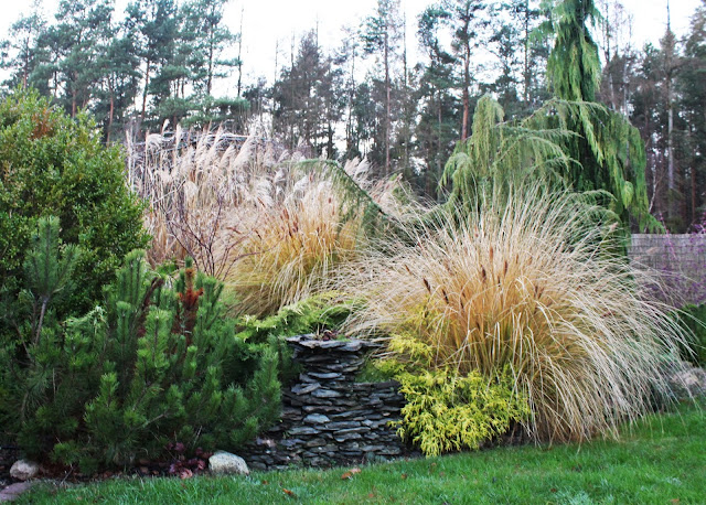 trawy co robić na zimę, wiązać czy nie wiązać traw na zimę, kiedy ścinać trawy ozdobne, jesienne kolory w ogrodzie, piękny ogród, nowoczesny ogród blog ogró dom desiggn projekt dla kobiet