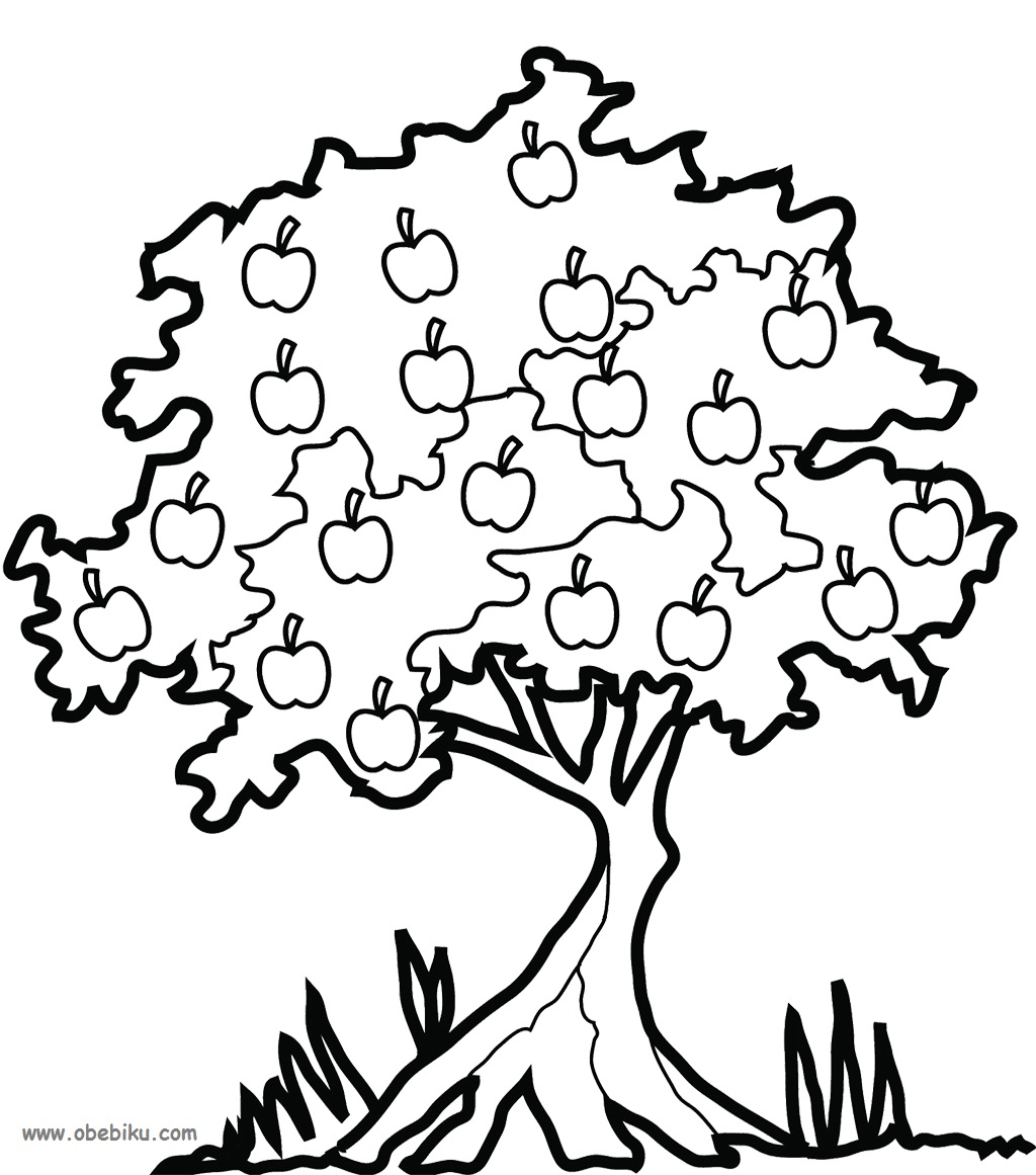Mewarnai Gambar Pohon Jeruk