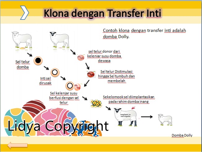 Perbedaan Kloning Embrio Dan Kloning Transfer Inti - Tips Membedakan