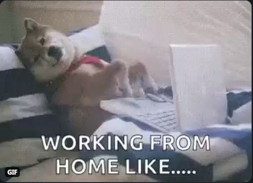 9 Meme Lucu 'Work From Home' Ini Bikin Nyengir Sendiri