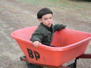 Pumpkin barrow