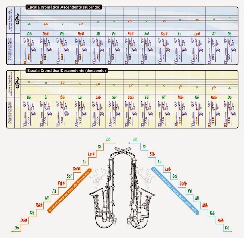 Escala Cromática DÓ a DÓ *(subindo - sustenido) e (descendo - bemol)