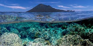 Taman laut bunaken