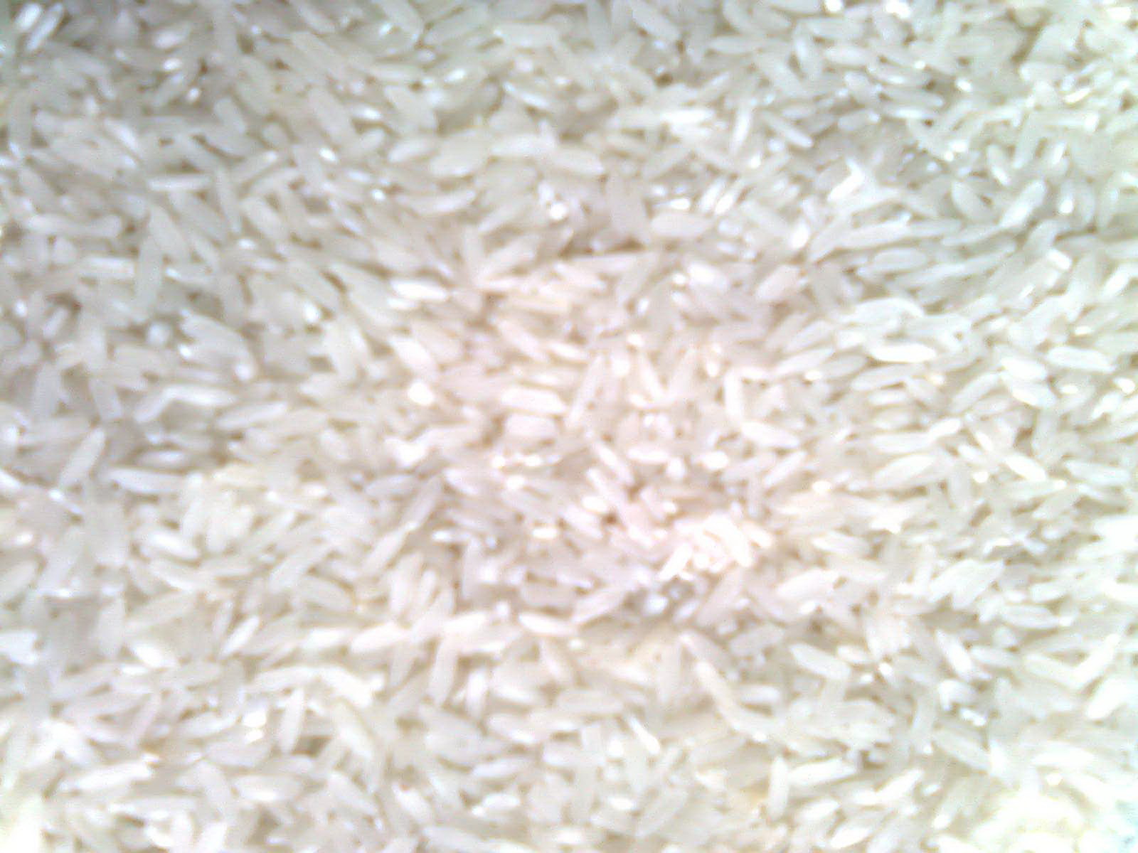 usaha beras beras