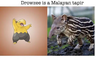 Pokemon Dari Dunia Nyata