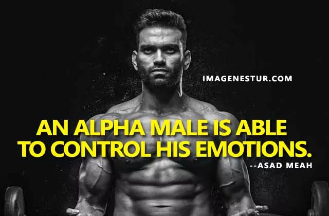 Best Alpha Male Quotes for Pictures & Alpha Male Captions for Instagram Bio. Use These Alpha Male captions to show your dashing personality.