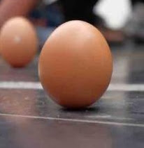 Telur ayam tegak berdiri saat terjadi kulminasi matahari