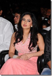 komaram-puli-audio-release-11