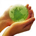 Eco-Friendly Activites