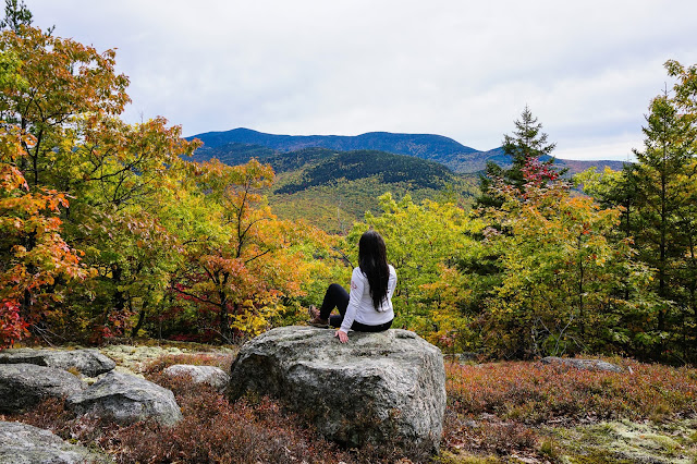 Montauk Tackle- Welch-Dickey Loop-Thorton-New Hampshire