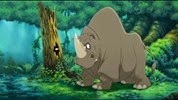 14 le rhinocéros