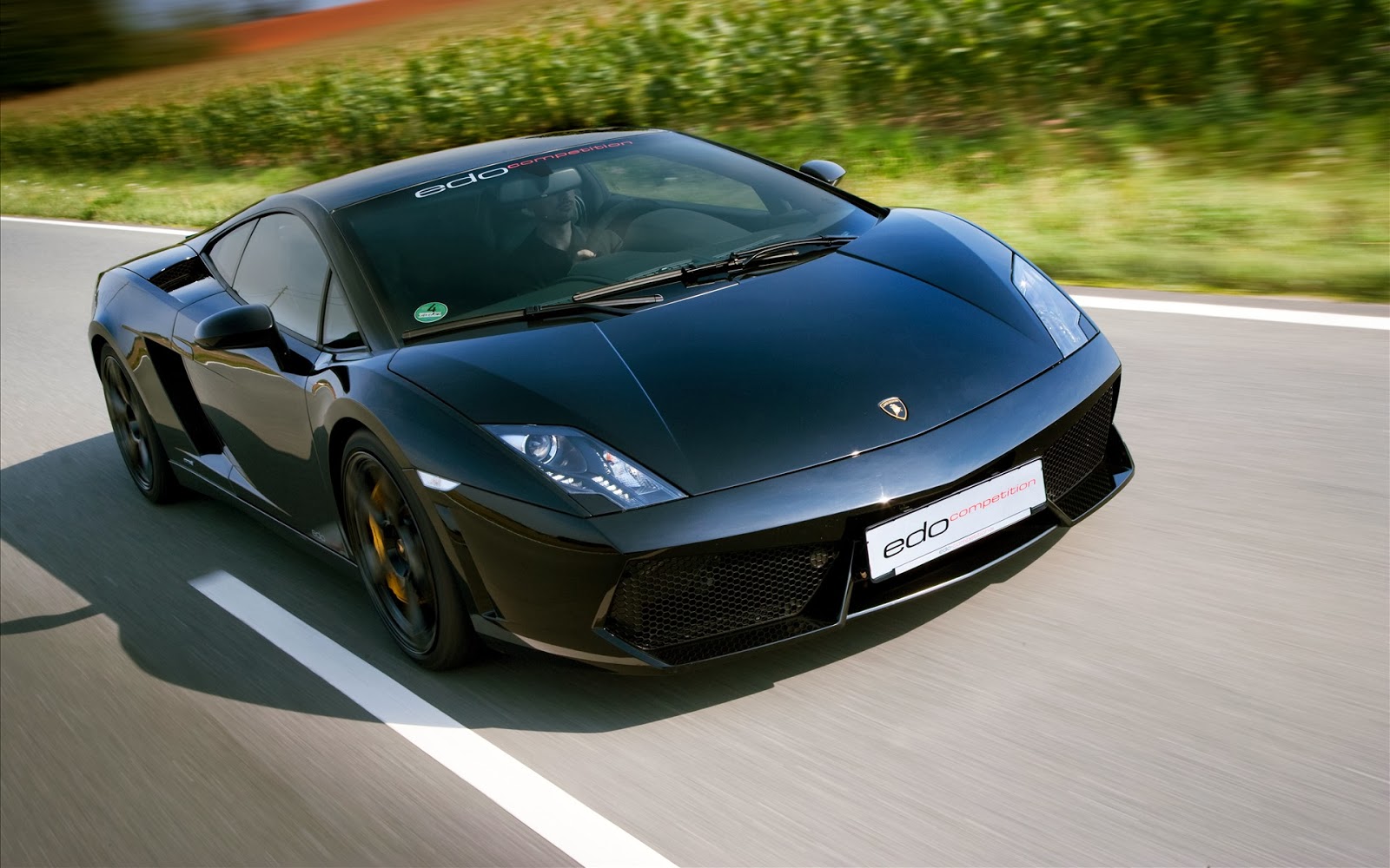 Sports Car Lamborghini Gallardo 2015