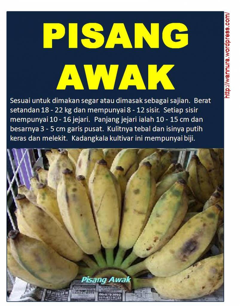 :: etty punya blog ::: umar raihan:: resepi kek pisang 