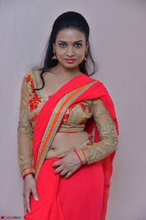 Bhimbika in Red Orange Saree at Sikhandi Movie Launch Spicy Pics 15.jpg