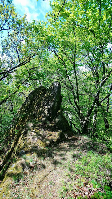 Sauerland wandern Wetter blog Meschede Caller Schweiz Homert