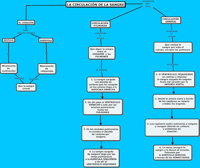 http://cmapspublic2.ihmc.us/rid=1T44FWFV1-TG3VJX-3HVS/CIRCULACION%20DE%20LA%20SANGRE.cmap