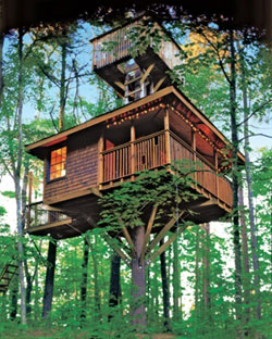 Log Cabin Tree House