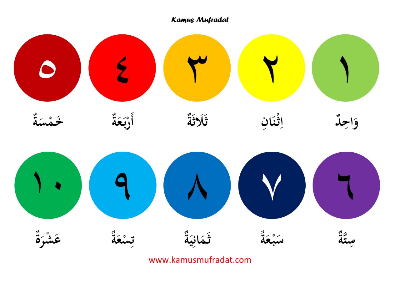  Angka  1 Sampai 30 Dalam  Bahasa  Arab  dan Artinya Kamus 