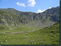 DSCN3975