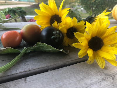 A few sunflowers and tomatoes on the farm table