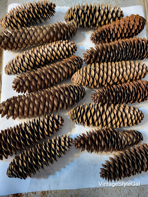 Baked pinecones