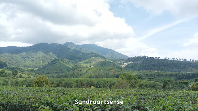 Pengalaman Piknik ke Bukit Senyum Burangrang Selatan