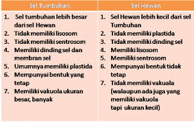 Kemiripan Antara Sel  Tanaman dan Sel  Hewan 