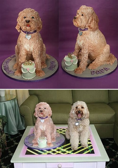 dog cakes for kids. dog cakes for kids.