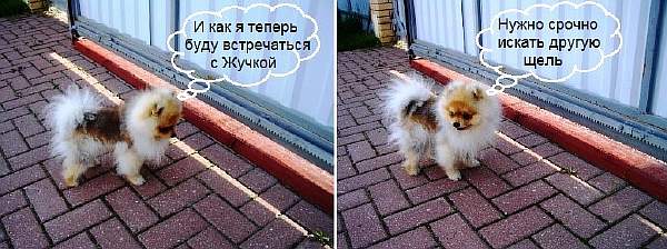 Услуги сантехника в Москве и Московской области