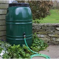 Rain Barrels