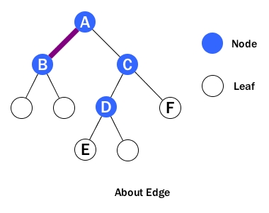 Height, Depth and Level of a Tree